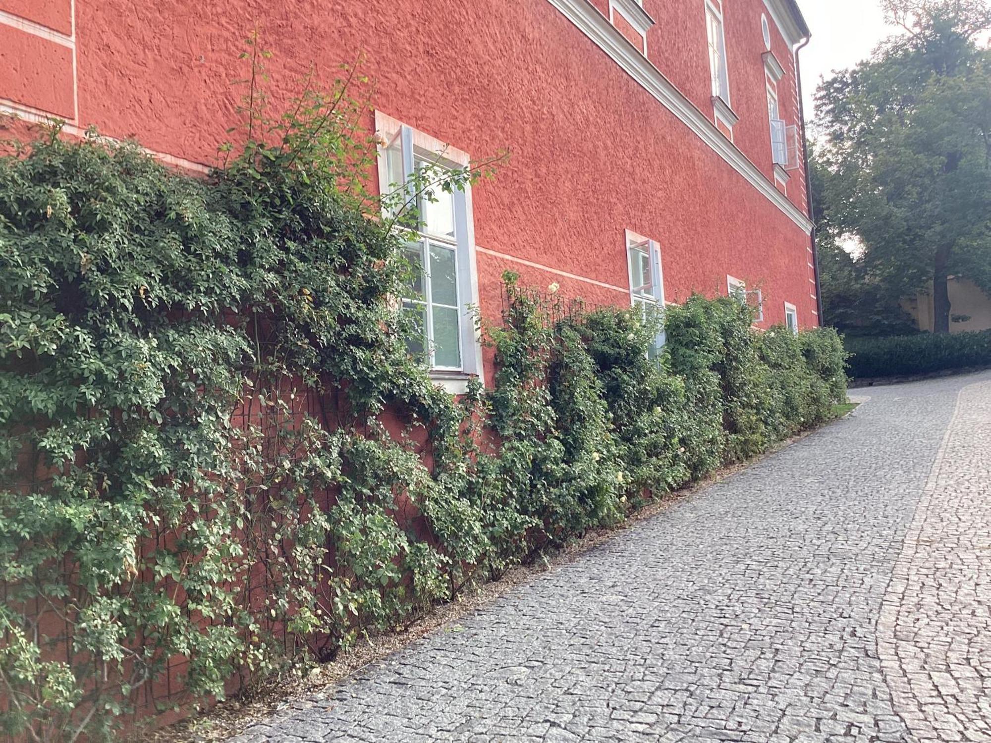 Antonio Residence Škvorec Exteriér fotografie